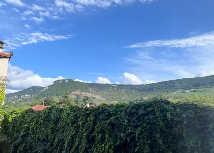 Apartment La Fabrique Centre - Berges Du Tarn *